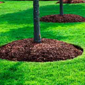 Mulching Services