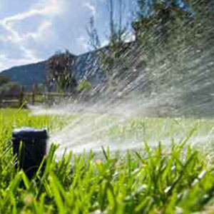 Watering Systems